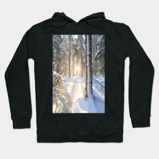 Sunshine in winter forest Hoodie